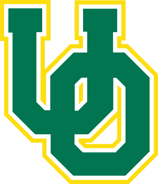 Oregon Ducks 1994-1998 Primary Logo diy fabric transfer
